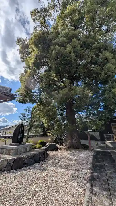 西徳寺(滋賀県)