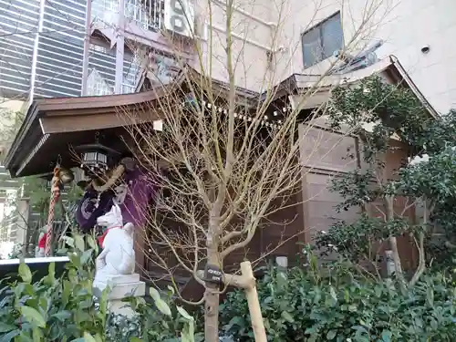 茶ノ木神社の本殿・本堂