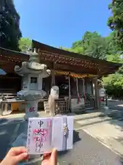 中氷川神社(埼玉県)