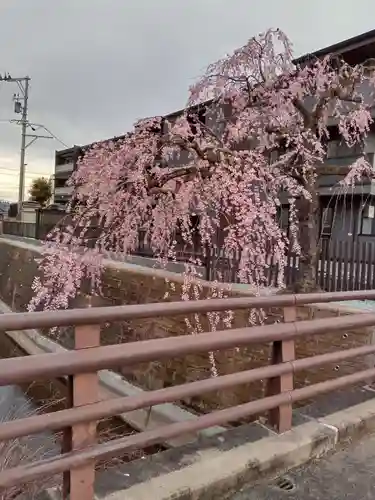 大安寺(宮城県)