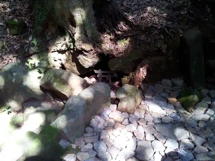 鹿児島神宮の自然