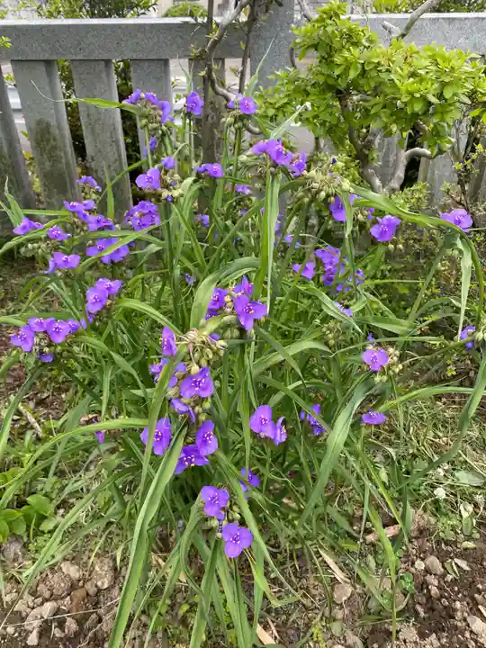 祖母井神社(栃木県)