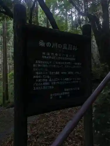 地主神社（桑の川の鳥居杉）(高知県)