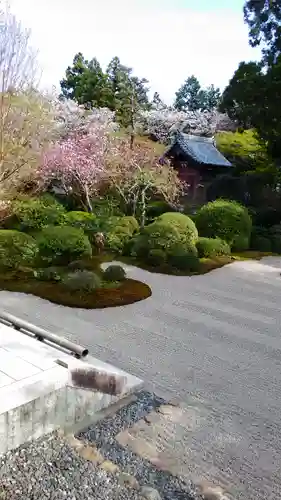 龍潭寺の庭園