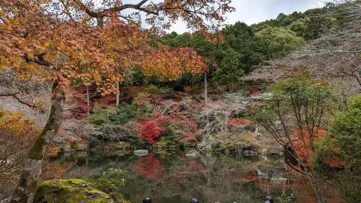 醍醐寺(京都府)