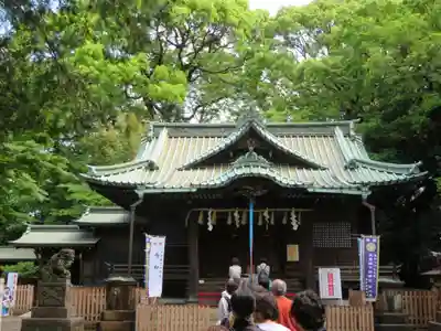 代々木八幡宮の本殿・本堂