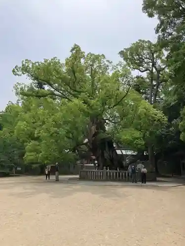 大山祇神社の自然