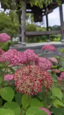 桂昌寺(岐阜県)