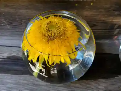 滑川神社 - 仕事と子どもの守り神の手水舎