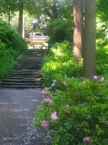 浄智寺の山門