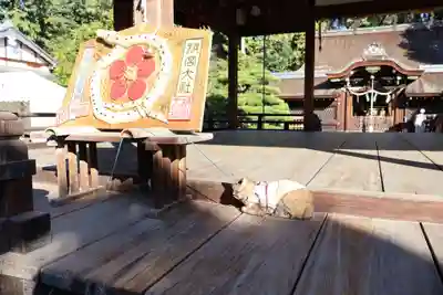 梅宮大社(京都府)