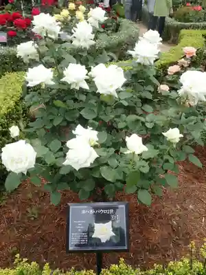 大國神社(東京都)