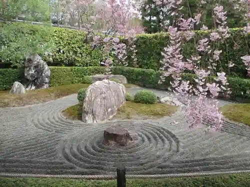 退蔵院の庭園