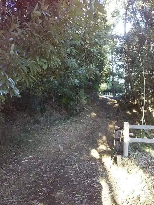 梅宮神社の周辺