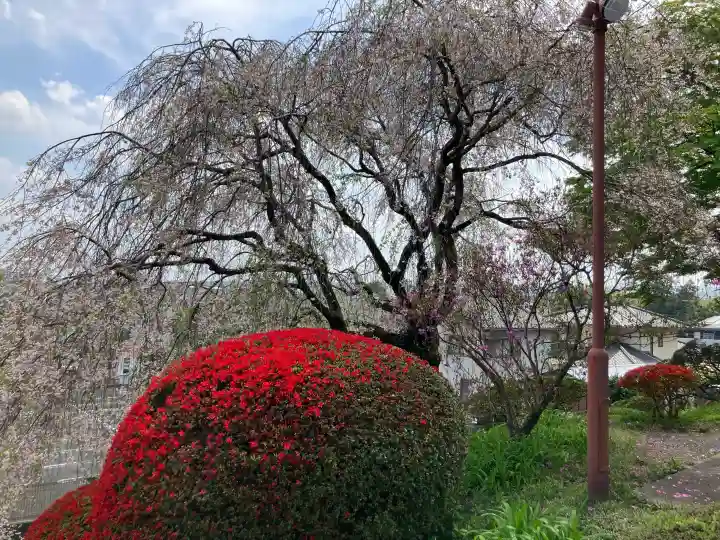 宗泉寺の{uncategorized: "未分類", other: "その他", undefined: "問題あり", building: "その他建物", grave: "お墓", sacred_gate: "鳥居", guardian: "狛犬", statue: "像", buddha: "仏像", history: "歴史", nature: "自然", garden: "庭園", animal: "動物", pagoda: "塔", temizu: "手水舎", mountain_gate: "山門・神門", sanctuary: "本殿・本堂", subordinate: "末社・摂社", art: "芸術", scenery: "景色", jizo: "地蔵", ema: "絵馬", goshuin: "御朱印", omikuji: "おみくじ", items: "授与品その他", amulet: "お守り", goshuincho: "御朱印帳", eats: "食事", festival: "お祭り", votive_dance: "神楽", shichigosan: "七五三参", wedding: "結婚式", experience: "体験その他", initially: "初詣", around: "周辺", anti_infection: "感染症対策"}