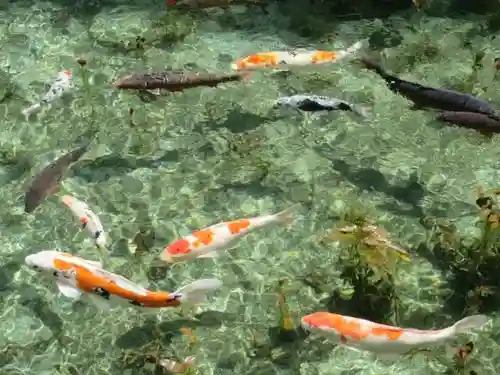 根道神社(岐阜県)