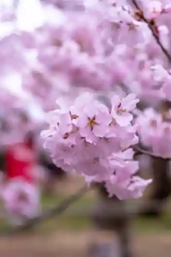 新城藤原神社(長野県)