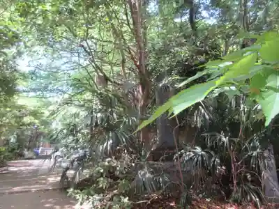 普門院(東京都)