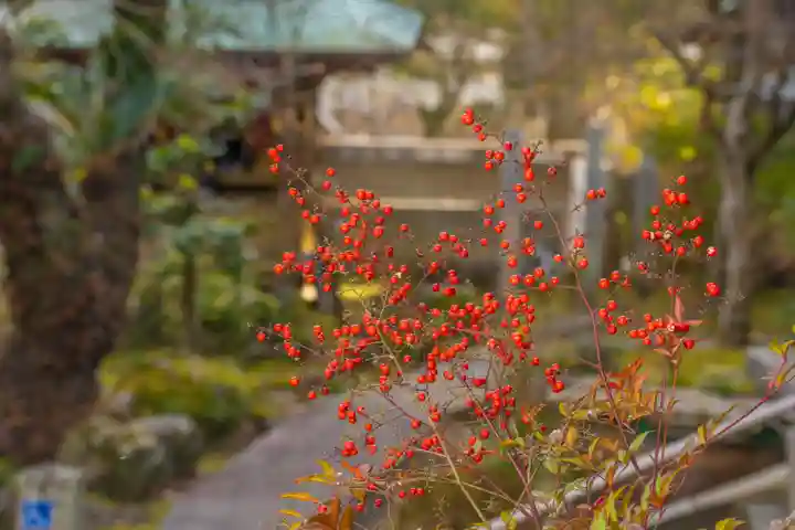 伊勢の国 四天王寺の自然