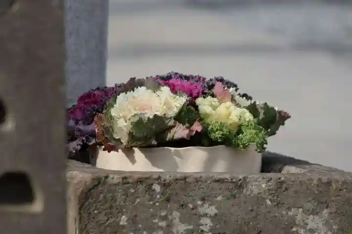 熊野福藏神社の手水舎