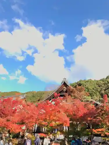 禅林寺（永観堂）の自然