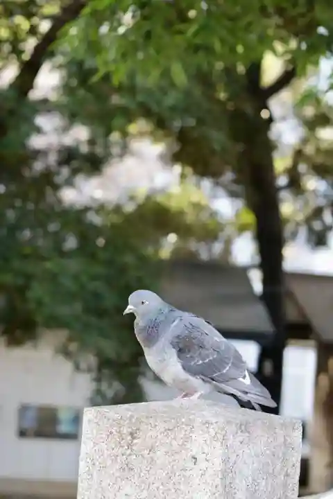 金王八幡宮(東京都)