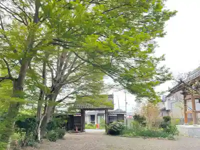 興敬寺の{uncategorized: "未分類", other: "その他", undefined: "問題あり", building: "その他建物", grave: "お墓", sacred_gate: "鳥居", guardian: "狛犬", statue: "像", buddha: "仏像", history: "歴史", nature: "自然", garden: "庭園", animal: "動物", pagoda: "塔", temizu: "手水舎", mountain_gate: "山門・神門", sanctuary: "本殿・本堂", subordinate: "末社・摂社", art: "芸術", scenery: "景色", jizo: "地蔵", ema: "絵馬", goshuin: "御朱印", omikuji: "おみくじ", items: "授与品その他", amulet: "お守り", goshuincho: "御朱印帳", eats: "食事", festival: "お祭り", votive_dance: "神楽", shichigosan: "七五三参", wedding: "結婚式", experience: "体験その他", initially: "初詣", around: "周辺", anti_infection: "感染症対策"}