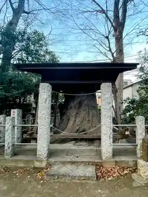 丸子山王日枝神社の{uncategorized: "未分類", other: "その他", undefined: "問題あり", building: "その他建物", grave: "お墓", sacred_gate: "鳥居", guardian: "狛犬", statue: "像", buddha: "仏像", history: "歴史", nature: "自然", garden: "庭園", animal: "動物", pagoda: "塔", temizu: "手水舎", mountain_gate: "山門・神門", sanctuary: "本殿・本堂", subordinate: "末社・摂社", art: "芸術", scenery: "景色", jizo: "地蔵", ema: "絵馬", goshuin: "御朱印", omikuji: "おみくじ", items: "授与品その他", amulet: "お守り", goshuincho: "御朱印帳", eats: "食事", festival: "お祭り", votive_dance: "神楽", shichigosan: "七五三参", wedding: "結婚式", experience: "体験その他", initially: "初詣", around: "周辺", anti_infection: "感染症対策"}