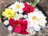 真言宗 善通寺派 薬王寺の手水舎