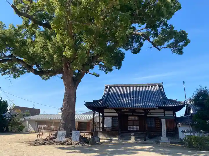 観音寺(大阪府)
