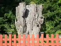 鶴岡八幡宮の自然