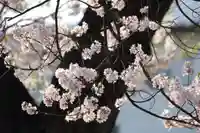 静御前堂の自然