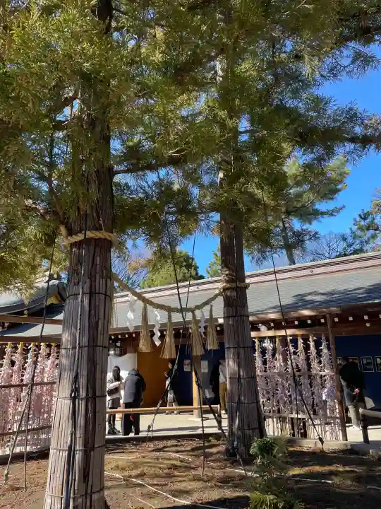 寒川神社(神奈川県)