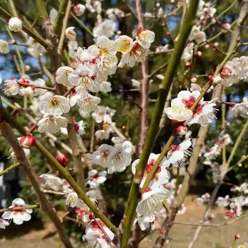妙法寺(神奈川県)
