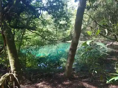 丸池神社(山形県)