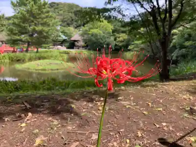 稱名寺(神奈川県)