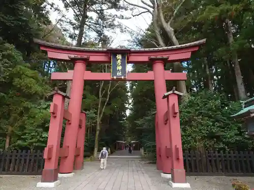 彌彦神社の鳥居