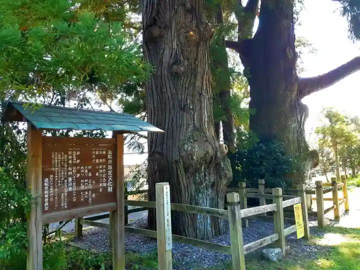 諏訪神社の自然