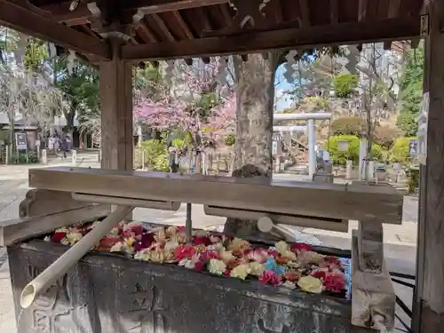 鳩森八幡神社(東京都)