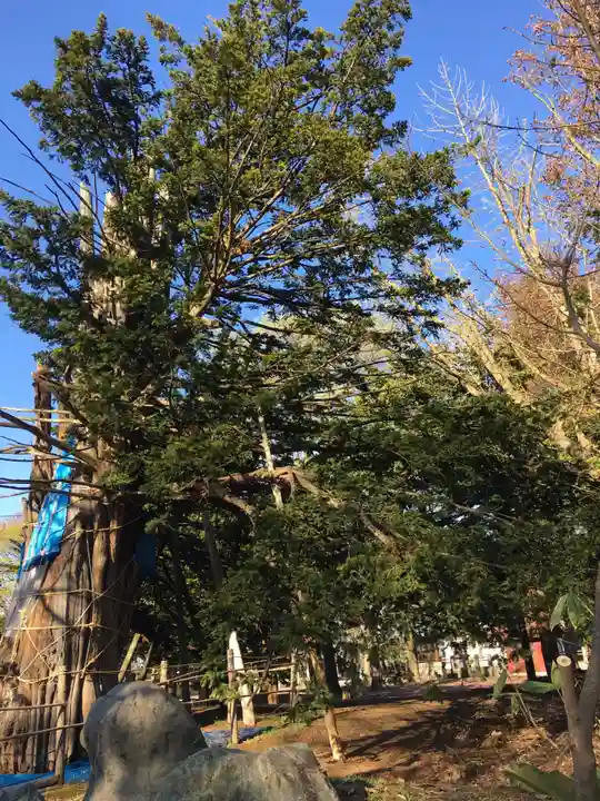 砂川神社(北海道)