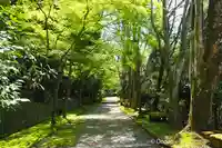 愛宕神社(阿多古神社)(京都府)