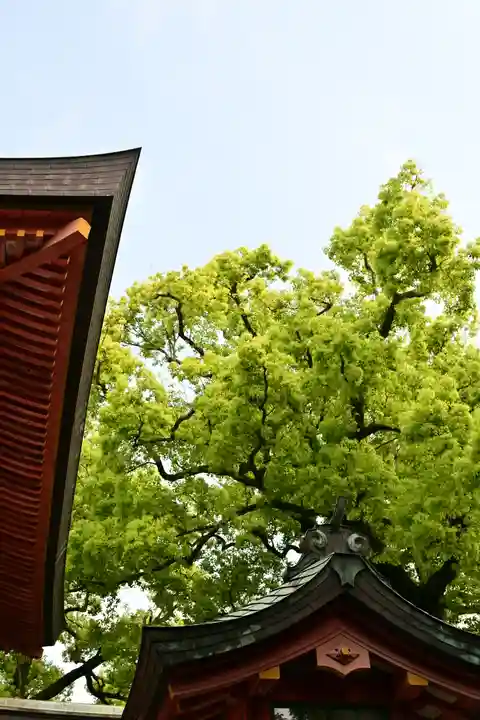 武蔵一宮氷川神社(埼玉県)