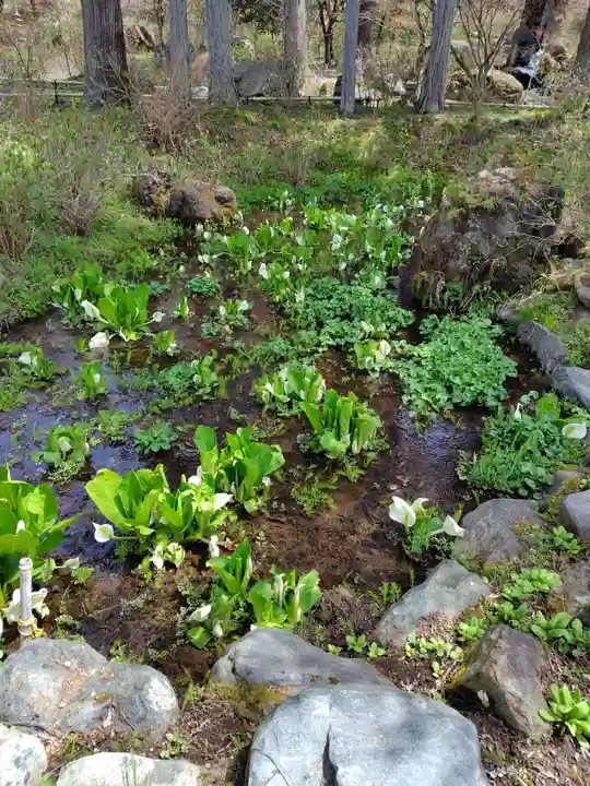 青龍山 吉祥寺(群馬県)