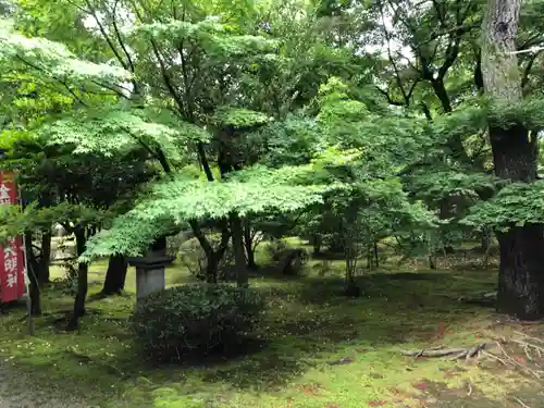 天徳院の景色