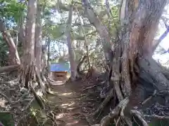 塩釜神社の自然