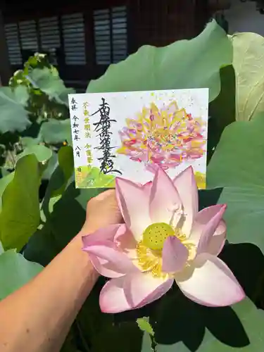 上行寺(静岡県)