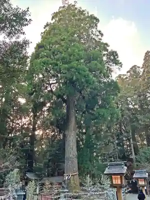 狭野神社(宮崎県)