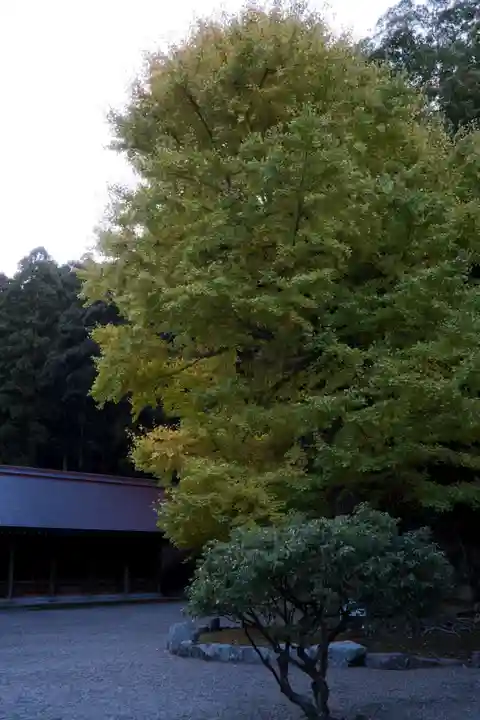 安房神社(千葉県)