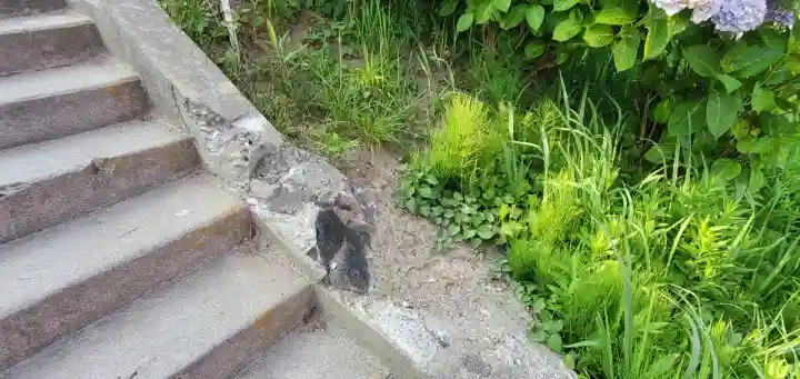富主姫神社(宮城県)