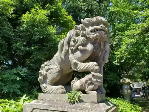 神炊館神社 ⁂奥州須賀川総鎮守⁂の狛犬